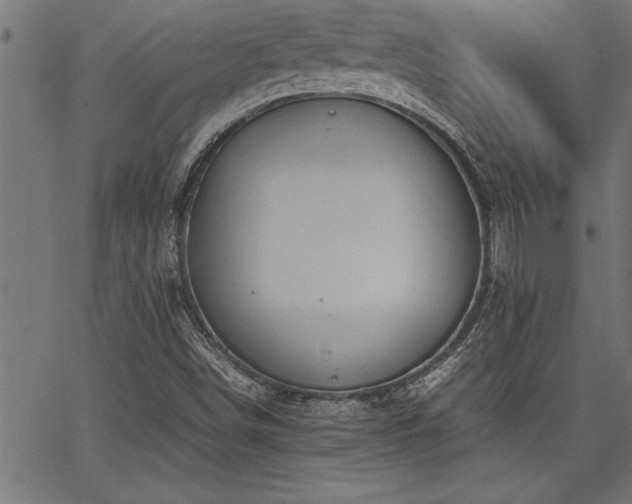 X0000067911498200604131330