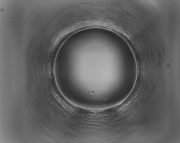 X0000067911499200604131330