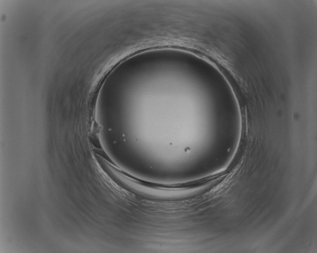 X0000067911500200604131330