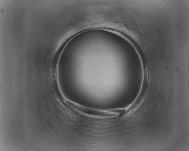 X0000067911501200604131330