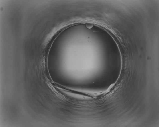 X0000067911503200604131330