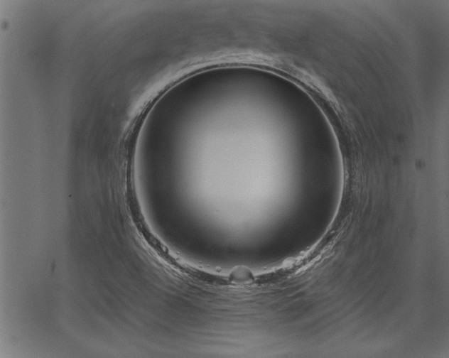 X0000067911504200604131330