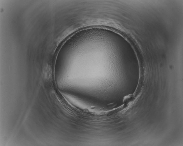 X0000067911505200604131330