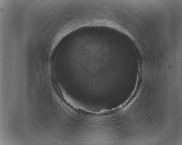 X0000067911506200604131330