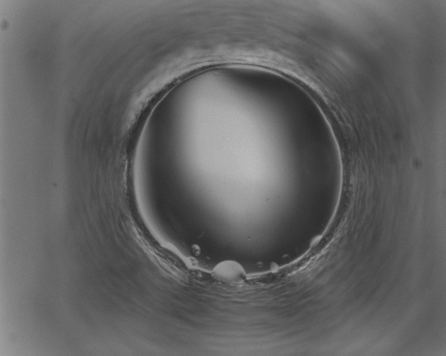 X0000067911507200604131330