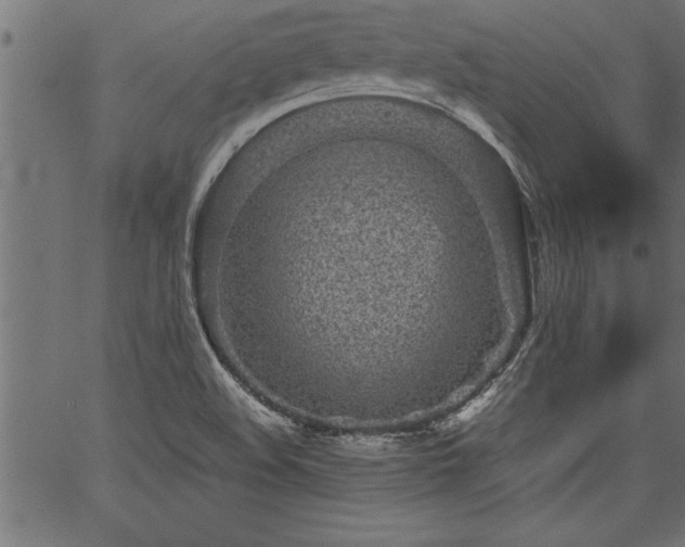 X0000067911508200604131330