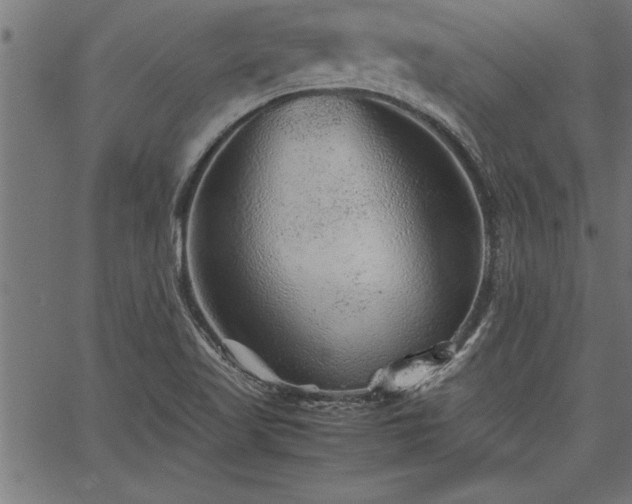 X0000067911509200604131330