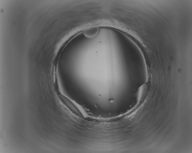 X0000067911510200604131330