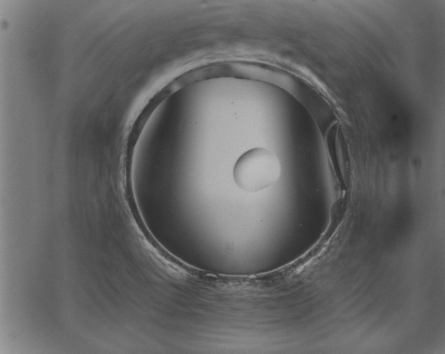 X0000067911512200604131330