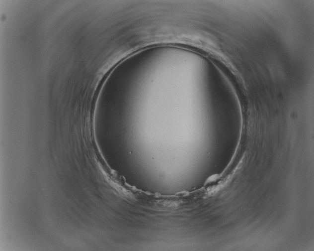 X0000067911513200604131330