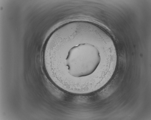 X0000067911514200604131330