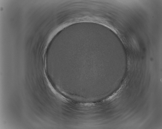 X0000067911515200604131330