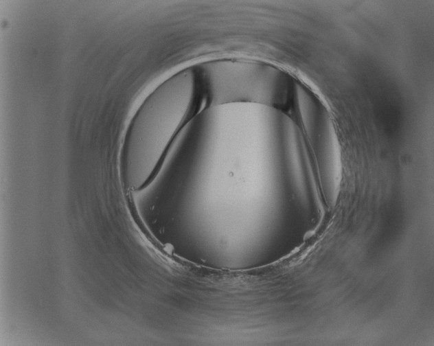 X0000067911516200604131330