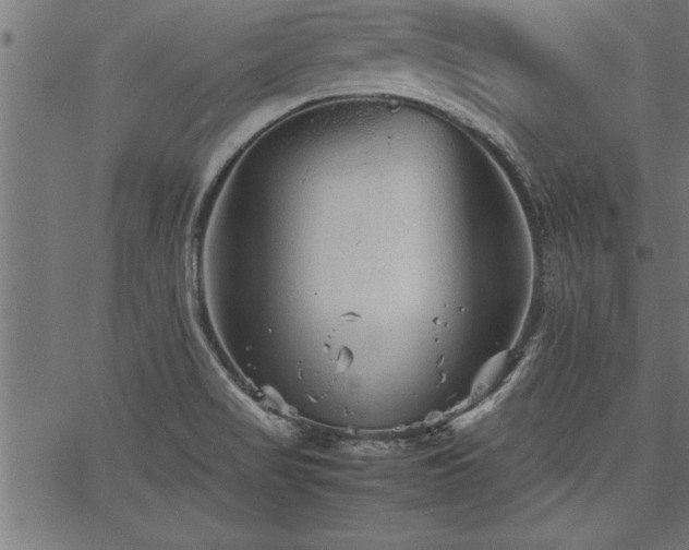 X0000067911517200604131330