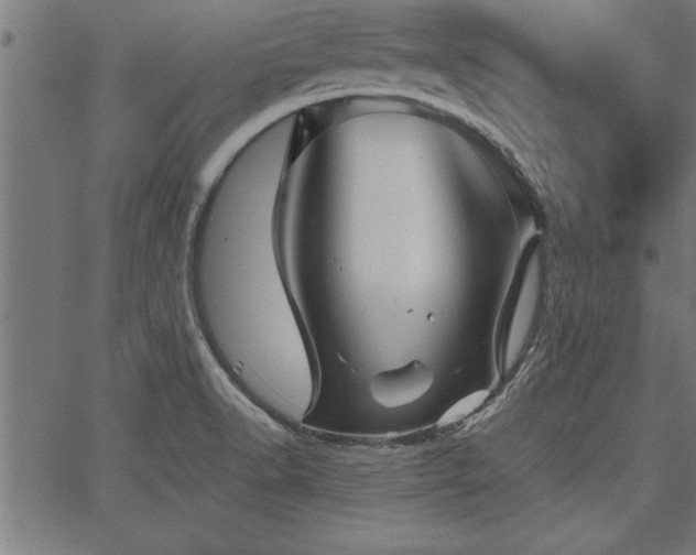 X0000067911518200604131330