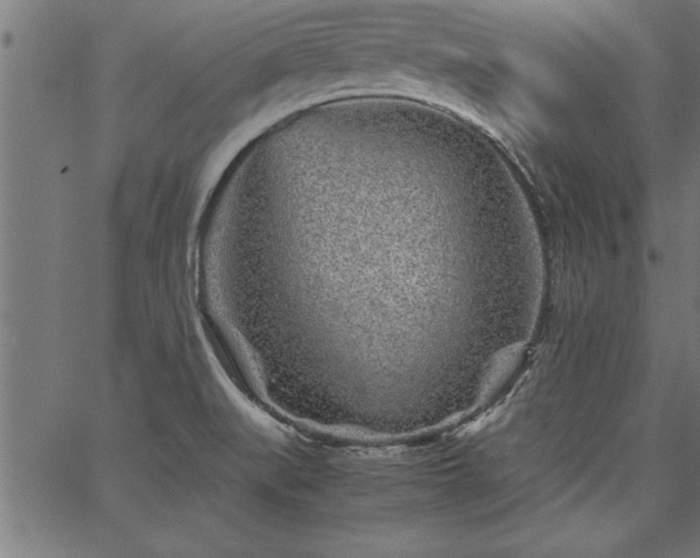 X0000067911519200604131330