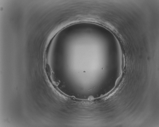 X0000067911520200604131330