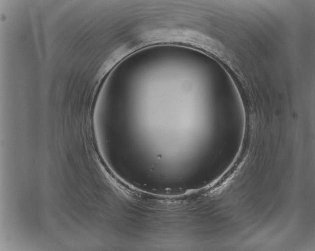 X0000067911521200604131330