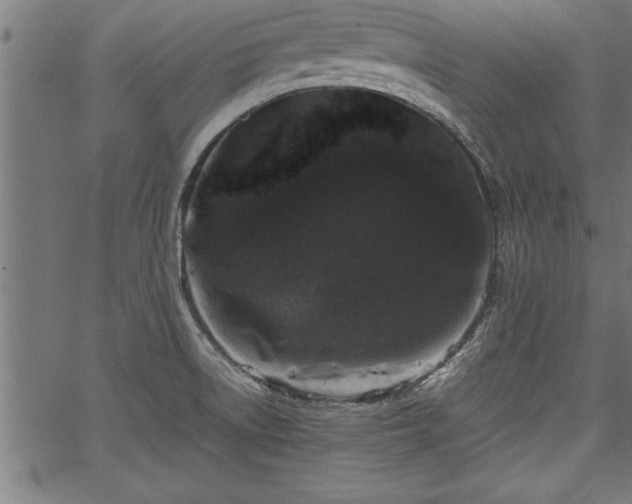 X0000067911522200604131330