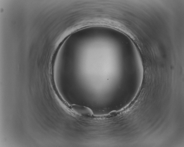 X0000067911523200604131330