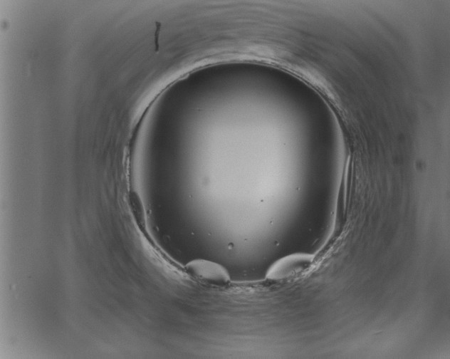 X0000067911524200604131330