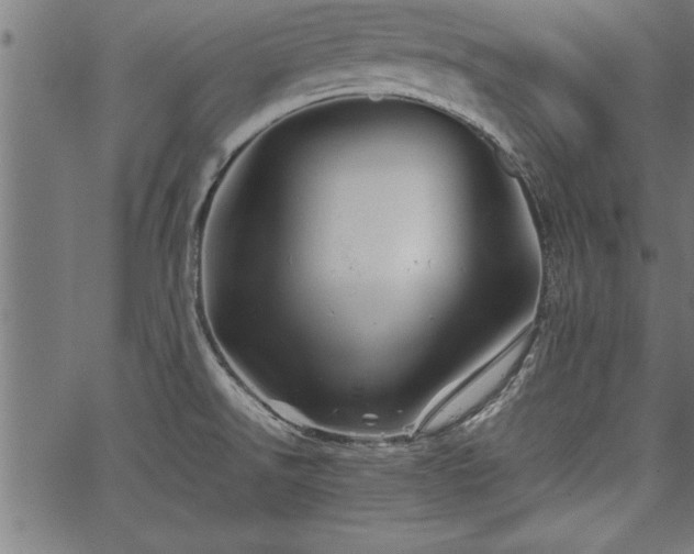 X0000067911526200604131331