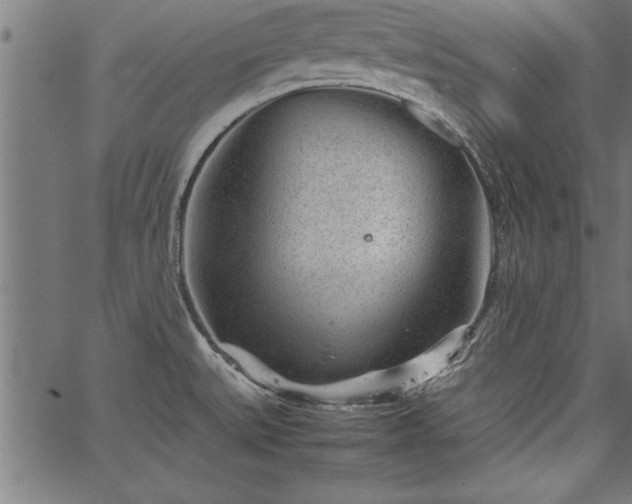 X0000067911527200604131331