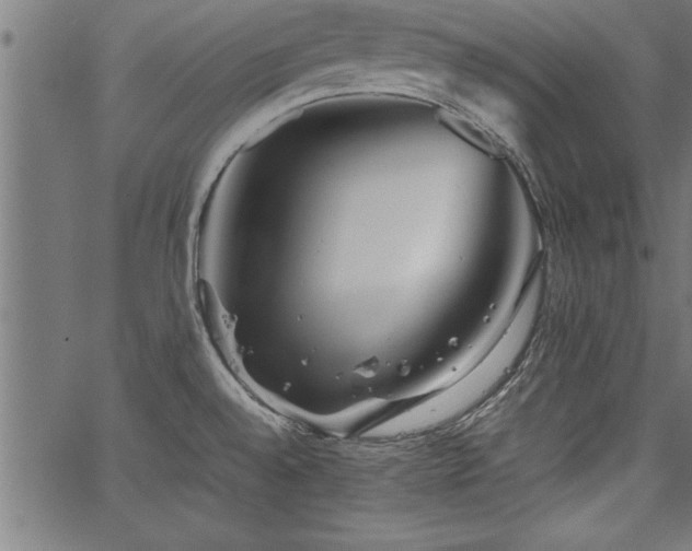 X0000067911528200604131331