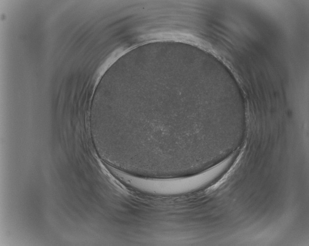 X0000067911529200604131331