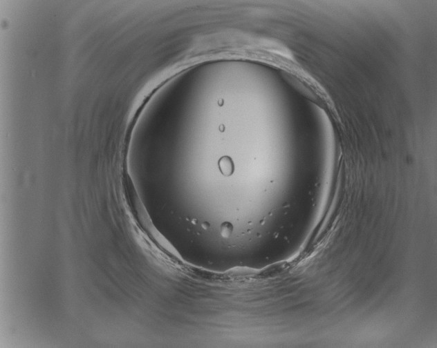 X0000067911530200604131331