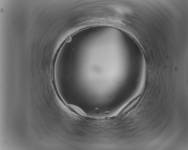 X0000067911531200604131331