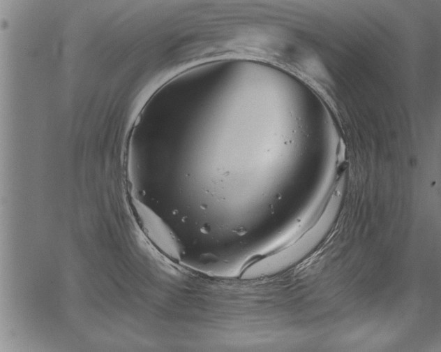 X0000067911532200604131331