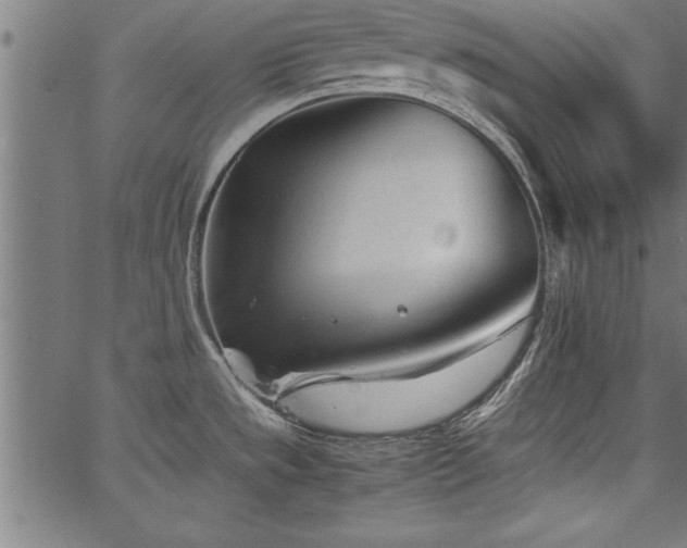 X0000067911533200604131331