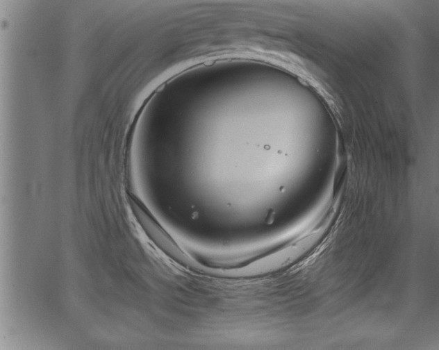 X0000067911534200604131331