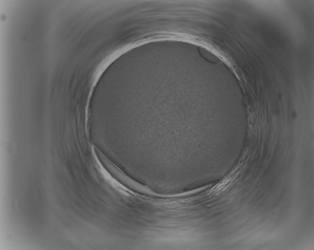 X0000067911535200604131331