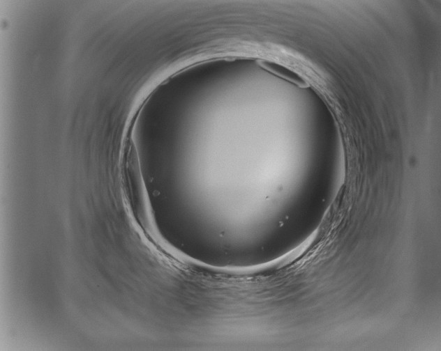 X0000067911536200604131331