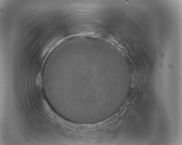 X0000067910002200604171350