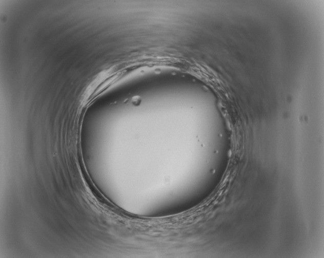 X0000067910003200604171350