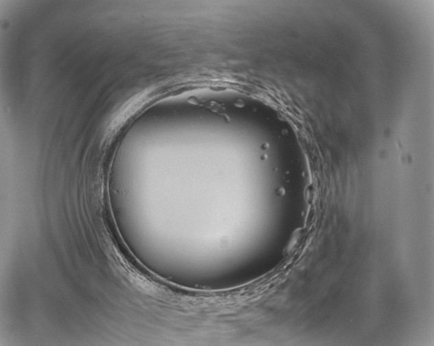 X0000067910005200604171350