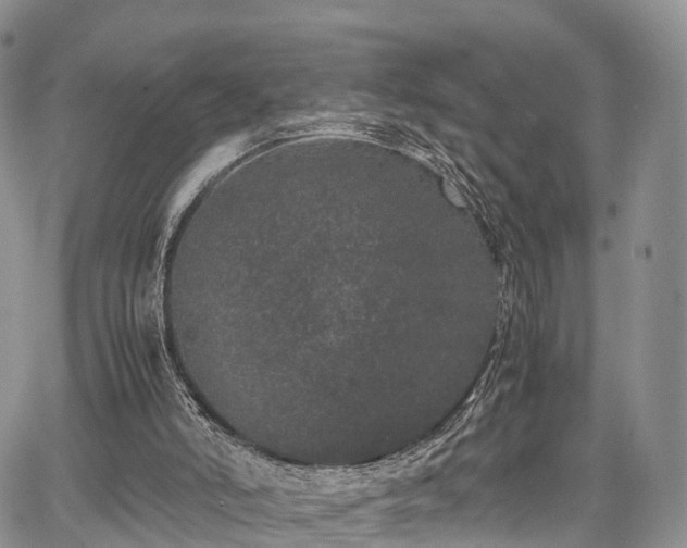 X0000067910006200604171350