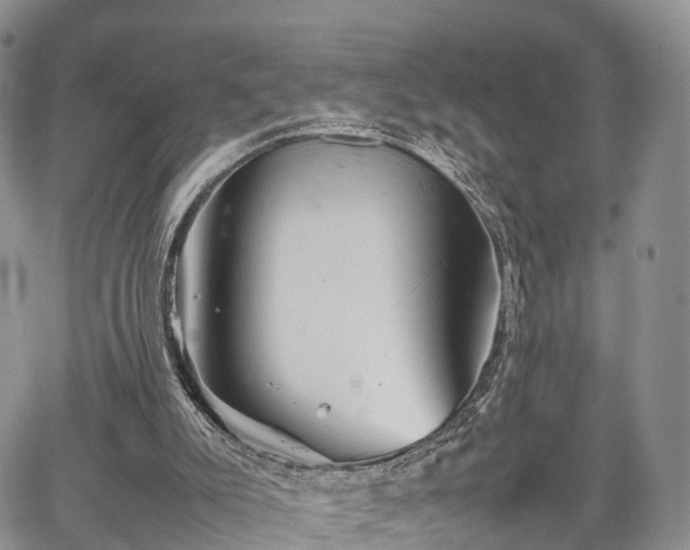 X0000067910007200604171350