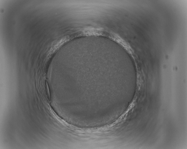 X0000067910009200604171350