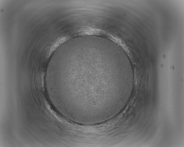 X0000067910010200604171350