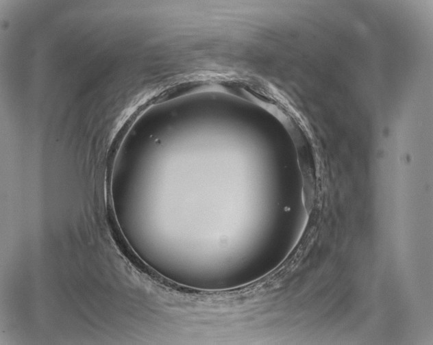 X0000067910011200604171350