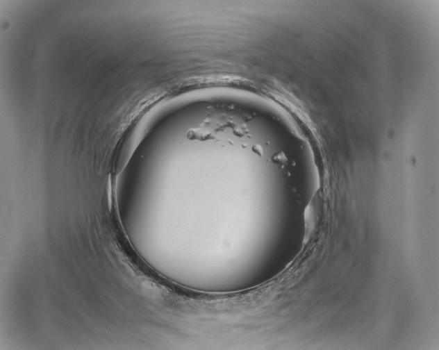 X0000067910013200604171350