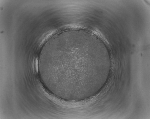 X0000067910014200604171350