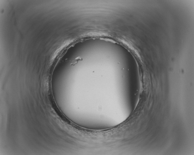 X0000067910015200604171350