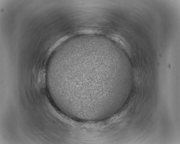 X0000067910016200604171350