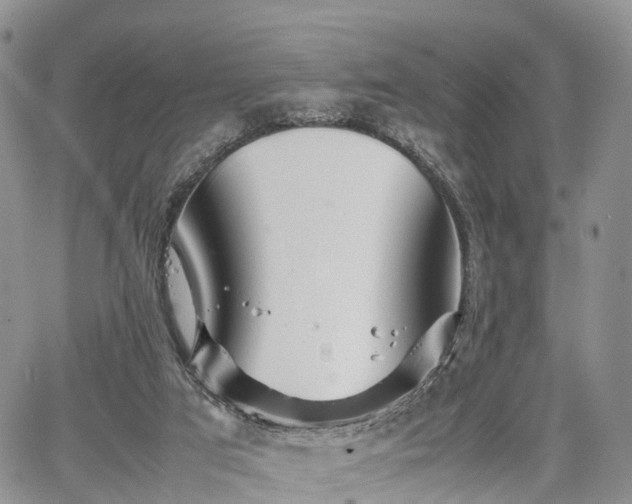 X0000067910017200604171350