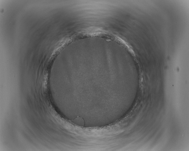 X0000067910018200604171350